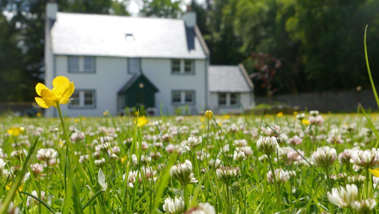 Braemore Walled Garden B&B Exterior photo